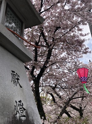 泉南動物病院画像