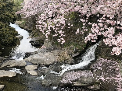 泉南動物病院画像
