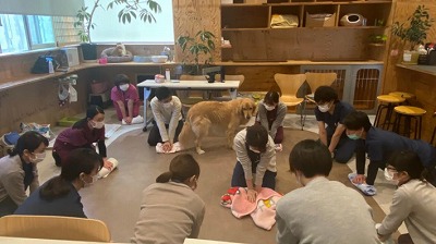 泉南動物病院画像