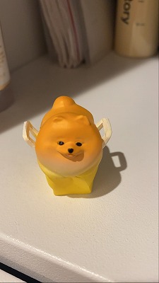 泉南動物病院画像