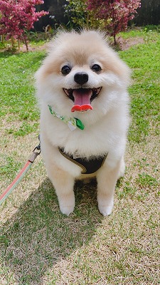 泉南動物病院画像