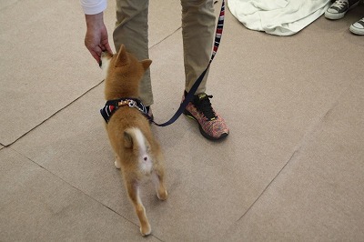 泉南動物病院画像