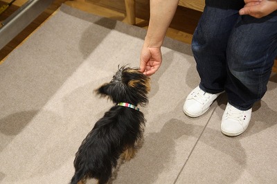 泉南動物病院画像