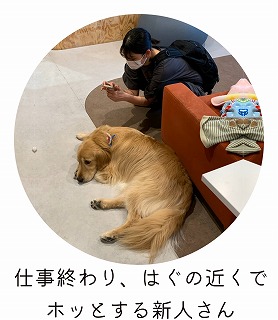 泉南動物病院画像