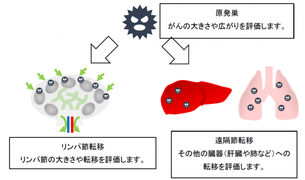 泉南動物病院画像