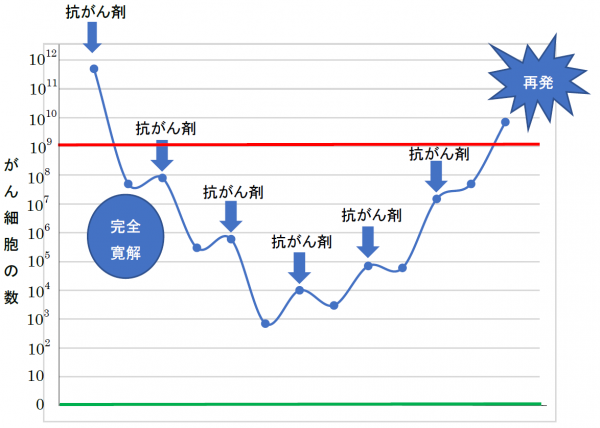 泉南動物病院画像