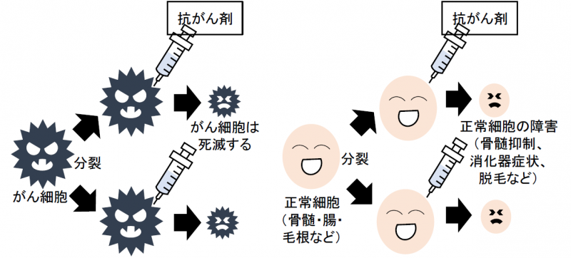 泉南動物病院画像