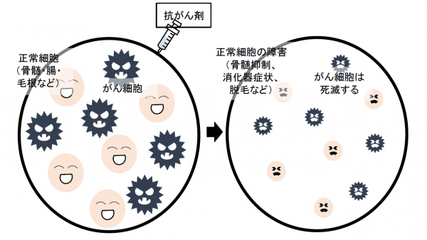 泉南動物病院画像
