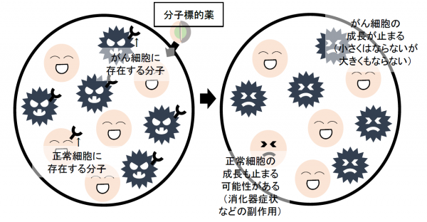 泉南動物病院画像