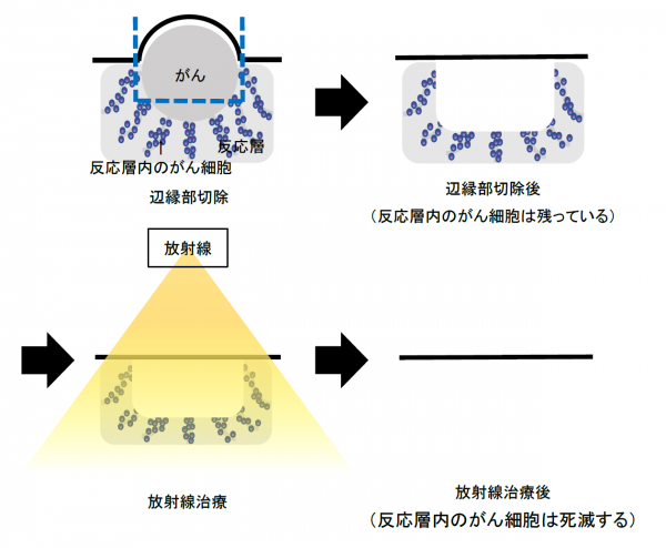 泉南動物病院画像