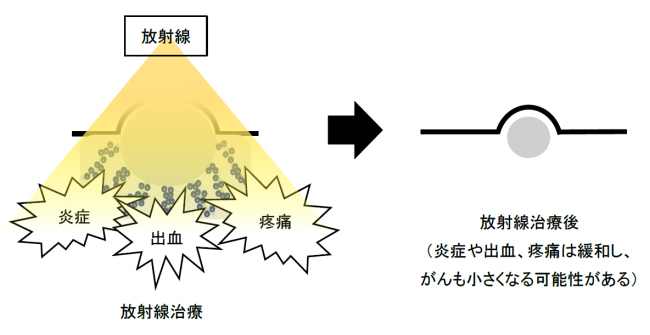 泉南動物病院画像