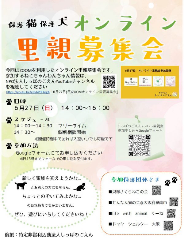 泉南動物病院画像