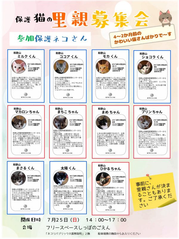 泉南動物病院画像