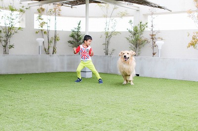 泉南動物病院画像