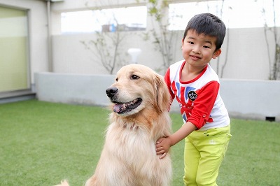 泉南動物病院画像