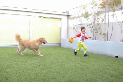 泉南動物病院画像