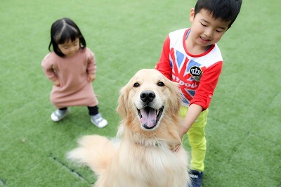 泉南動物病院画像