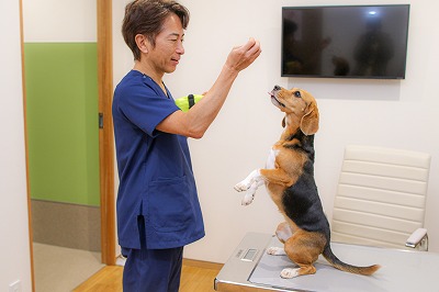 泉南動物病院画像
