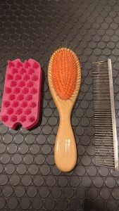 泉南動物病院画像