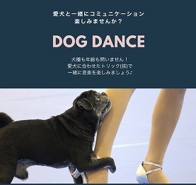 泉南動物病院画像