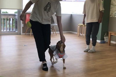 泉南動物病院画像