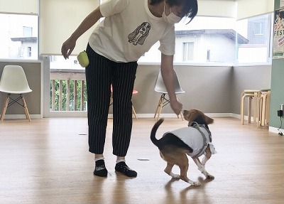 泉南動物病院画像