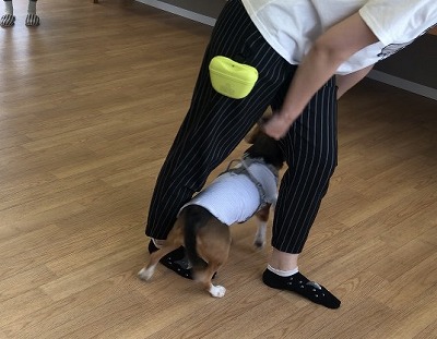 泉南動物病院画像