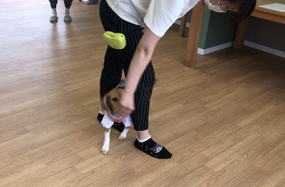 泉南動物病院画像
