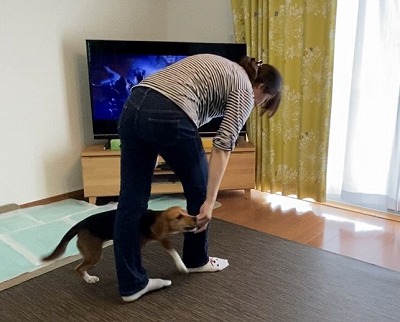 泉南動物病院画像