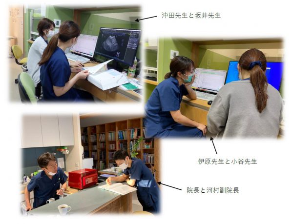 泉南動物病院画像