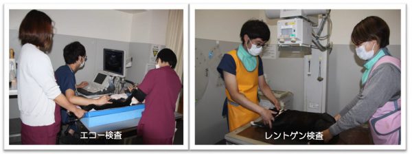 泉南動物病院画像