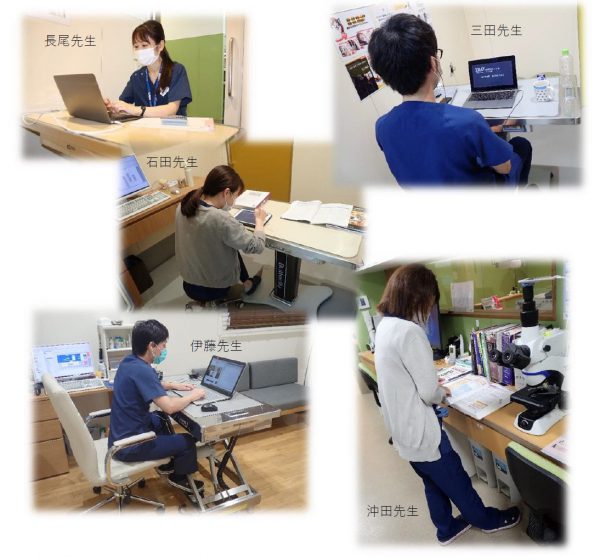 泉南動物病院画像