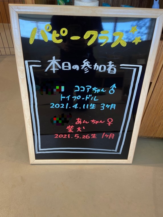 泉南動物病院画像