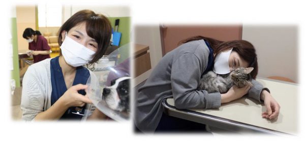 泉南動物病院画像