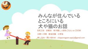 泉南動物病院画像
