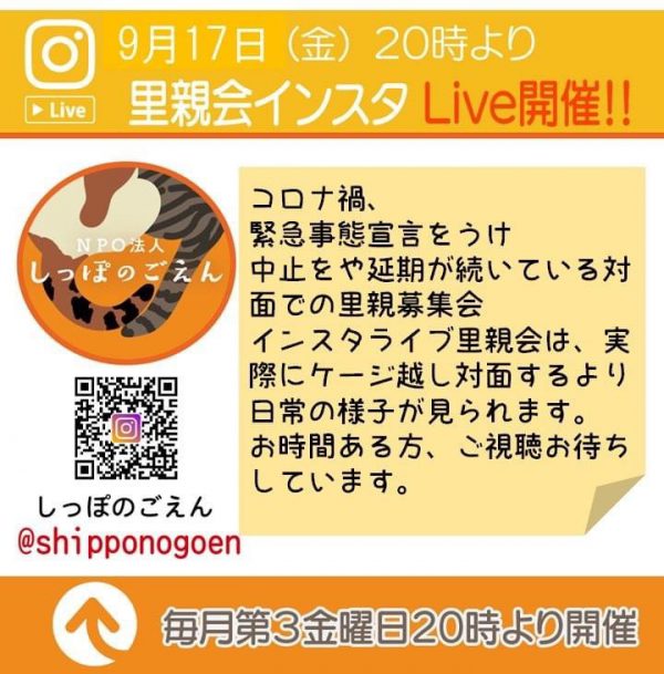 泉南動物病院画像
