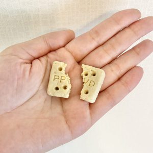 泉南動物病院画像