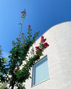 泉南動物病院画像