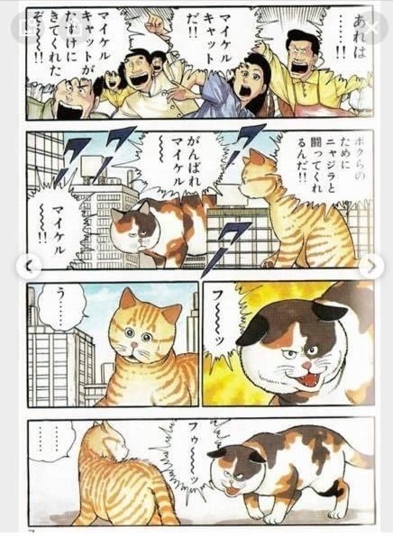 泉南動物病院画像