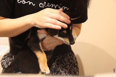 泉南動物病院画像