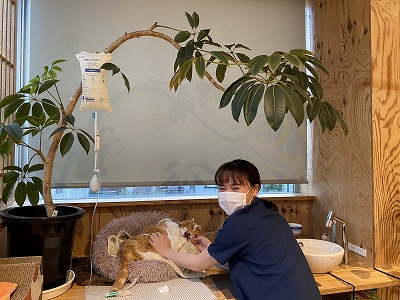 泉南動物病院画像