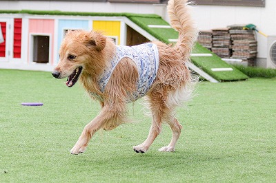 泉南動物病院画像
