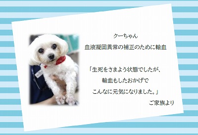 泉南動物病院画像