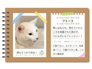 泉南動物病院画像