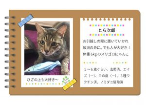 泉南動物病院画像