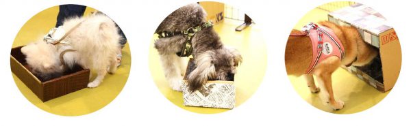 泉南動物病院画像