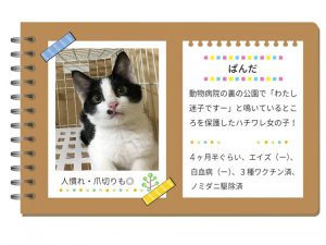 泉南動物病院画像