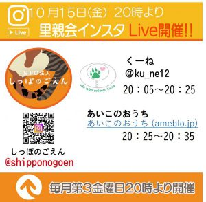泉南動物病院画像