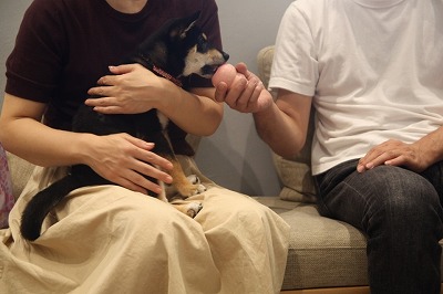 泉南動物病院画像