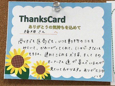 泉南動物病院画像